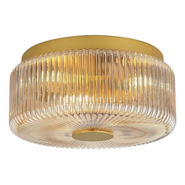 Потолочный светильник Stilfort Senza 2181/05/03CW Фото № 