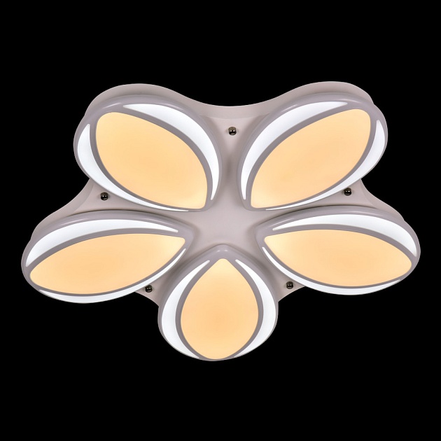 Потолочный светодиодный светильник Adilux 1012 Фото № 2