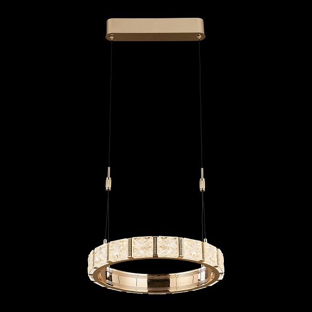 Подвесная светодиодная люстра Wertmark Vera WE458.01.303 изображение Подвесная светодиодная люстра Wertmark Vera WE458.01.303 Фото №