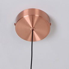 Подвесной светодиодный светильник Favourite Luna 4371-1P 2