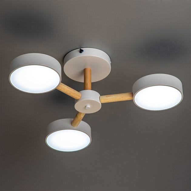 Потолочная светодиодная люстра Ritter Scandia 51589 4 изображение 4 Потолочная светодиодная люстра Ritter Scandia 51589 4 Фото № 4