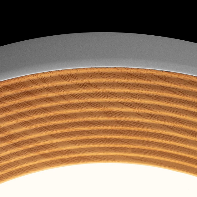 Потолочный светильник Loft IT Folk 10255/500 White Фото № 3