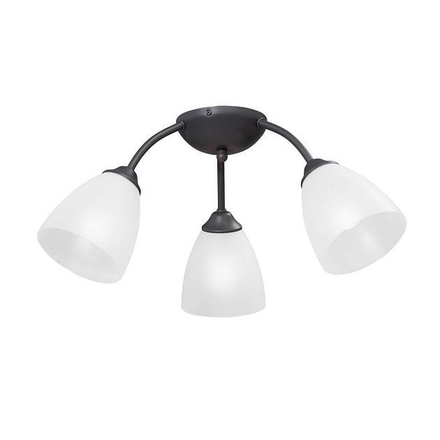 Потолочная люстра Vitaluce V3737-2/3PL изображение Потолочная люстра Vitaluce V3737-2/3PL Фото №