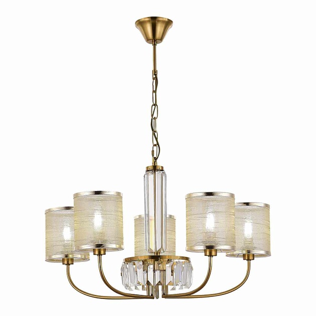 Подвесная люстра Evoluce Ellisse SLE1119-303-05 изображение Подвесная люстра Evoluce Ellisse SLE1119-303-05 Фото №