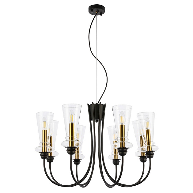 Подвесная люстра Evoluce Rammo SLE112403-08 изображение Подвесная люстра Evoluce Rammo SLE112403-08 Фото №