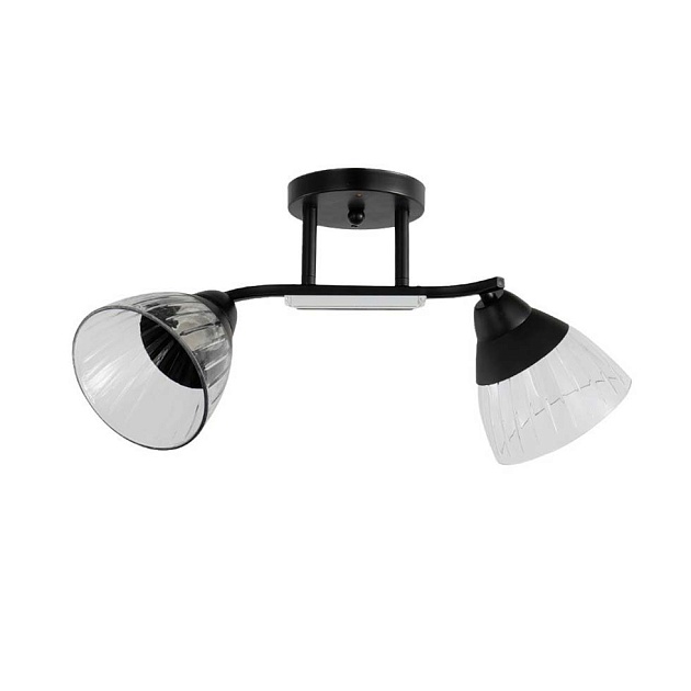 Потолочный светильник ЭкономСвет 12205/2BK CL+BK изображение Потолочный светильник ЭкономСвет 12205/2BK CL+BK Фото №