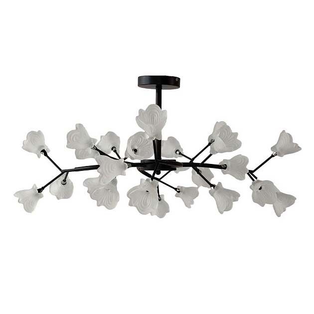 Потолочная люстра ЭкономСвет 11115/24BK WT Фото № 