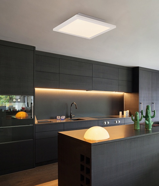 Потолочный светодиодный светильник Globo Rosi 41604D1 изображение 2 Потолочный светодиодный светильник Globo Rosi 41604D1 Фото № 2