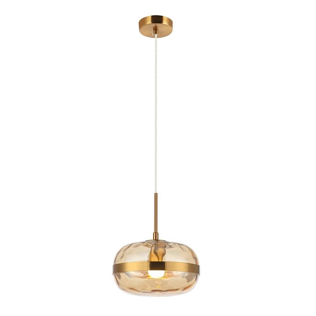 Подвесной светильник Aployt Gabriela APL.305.16.01 Фото № 