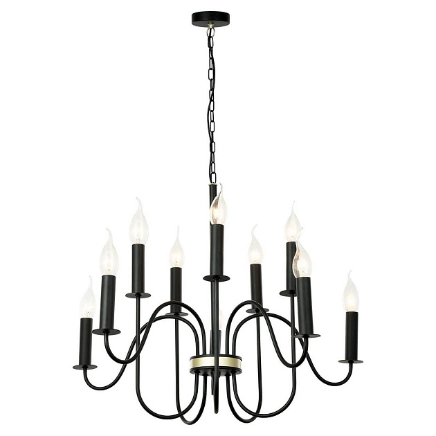 Подвесная люстра Lussole Lgo Roosevelt GRLSP-8198 Фото № 