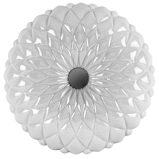 Настенно-потолочный светильник Camelion LBS-1005 13389 Фото № 