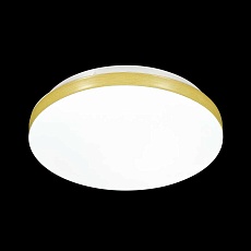 Настенно-потолочный светодиодный светильник Sonex Mini Smalli 3066/CL 2