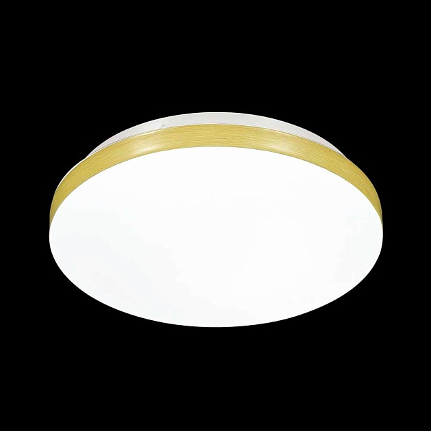 Настенно-потолочный светодиодный светильник Sonex Mini Smalli 3066/CL Фото № 3