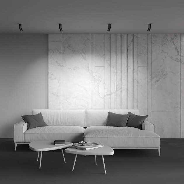 Потолочный светодиодный светильник Maytoni Technical Dafne C027CL-L10B4K изображение 2 Потолочный светодиодный светильник Maytoni Technical Dafne C027CL-L10B4K Фото № 2