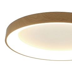 Потолочный светодиодный светильник Mantra Niseko 8031 1