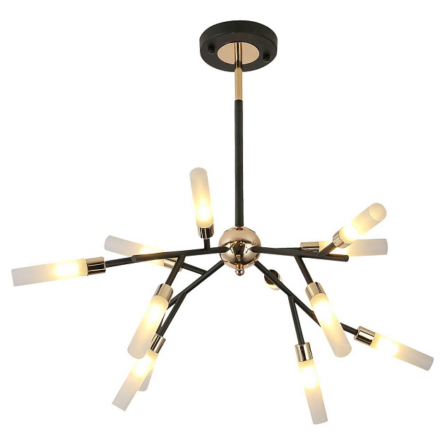 Подвесная люстра Lussole Loft Astoria LSP-8332 Фото № 