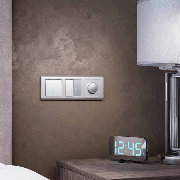 Диммер Werkel cеребряный рифленый W1142009 4690389159664 Фото № 3