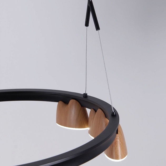 Подвесная светодиодная люстра Favourite Interline 4266-21P изображение 6 Подвесная светодиодная люстра Favourite Interline 4266-21P Фото № 6