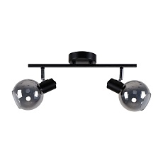 Спот ЭкономСвет 20797/2BK GR