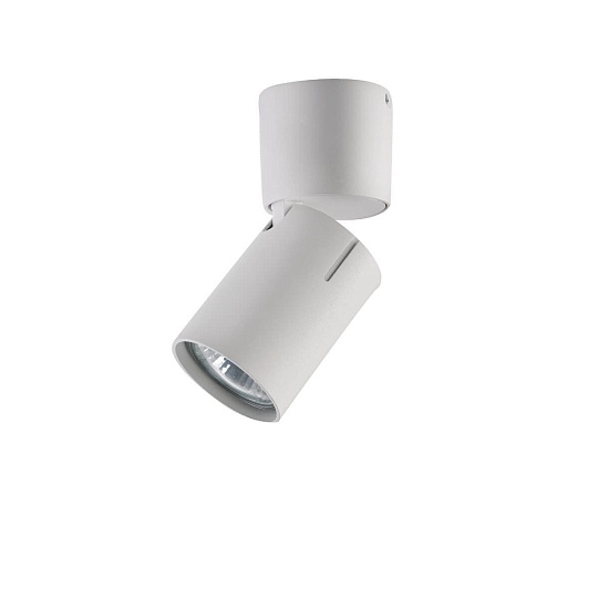 Спот Vele Luce Carrisi VL8061S11 Фото № 2