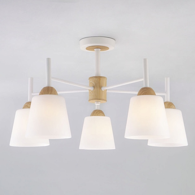 Потолочная люстра Eurosvet 70085/5 белый Фото № 