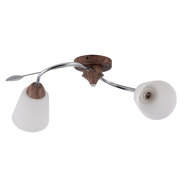 Потолочный светильник ЭкономСвет 66002/2WD+CR WT изображение Потолочный светильник ЭкономСвет 66002/2WD+CR WT Фото №