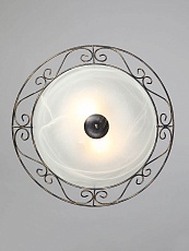 Настенно-потолочный светильник Vitaluce V6860/2A 1