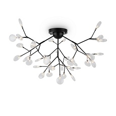 Потолочная люстра Freya Florencia FR5049CL-36B