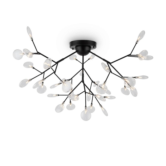 Потолочная люстра Freya Florencia FR5049CL-36B Фото № 