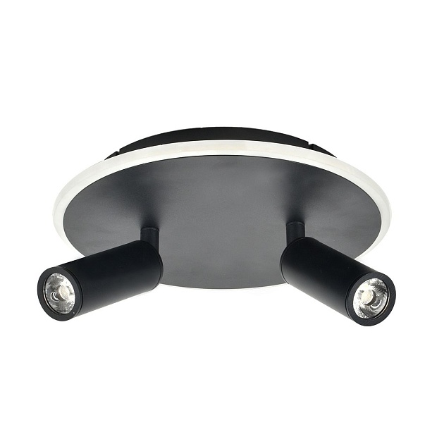 Потолочный светодиодный светильник Escada 20046SMA/02LED BK Фото № 