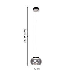 Подвесной светодиодный светильник Favourite Trendig 4376-1P 1