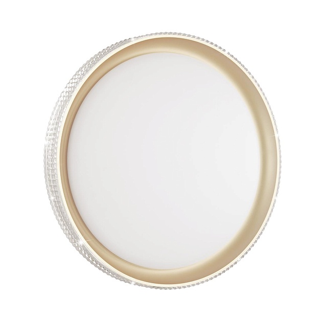 Настенно-потолочный светодиодный светильник Sonex Pale Shiny 3054/EL Фото № 