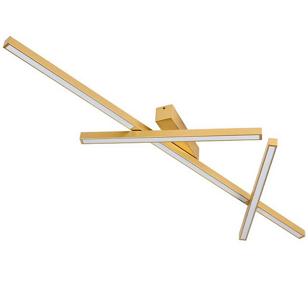 Потолочный светодиодный светильник Odeon Light Tao 4368/50CL Фото № 