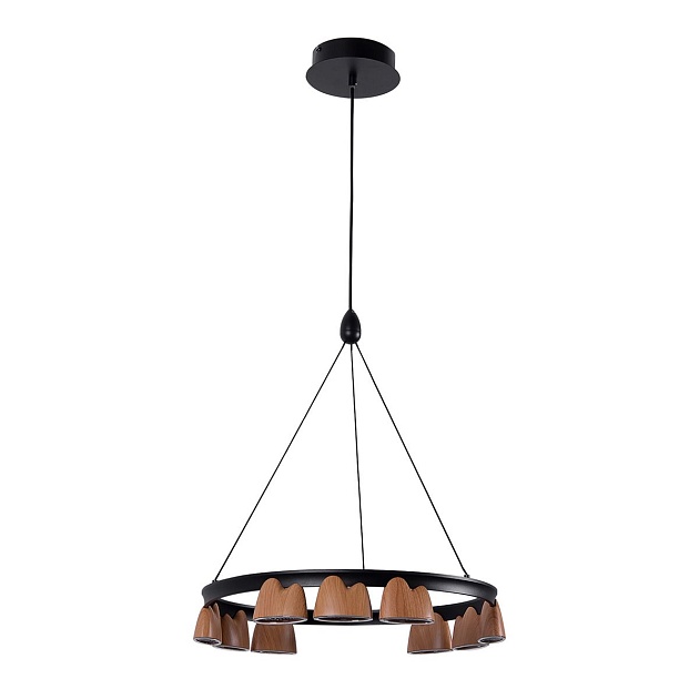 Подвесная светодиодная люстра Favourite Interline 4266-9P изображение Подвесная светодиодная люстра Favourite Interline 4266-9P Фото №