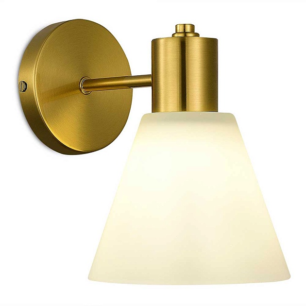 Настенный светильник Evoluce ARKI SLE1561-301-01 Фото № 