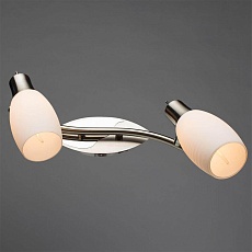 Спот Arte Lamp A4590AP-2SS 1