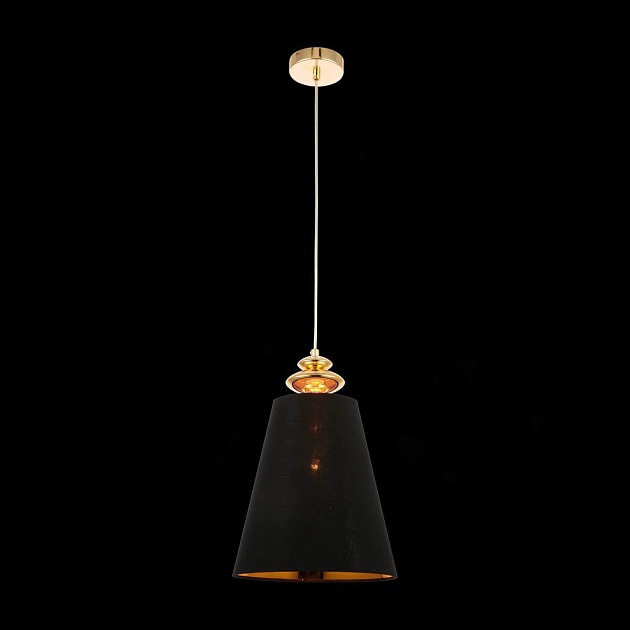 Подвесной светильник Evoluce Rionfo SSL1137.203.01 Фото № 5