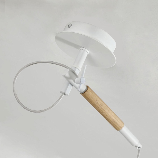 Подвесной светильник F-Promo Eureka 3005-1P Фото № 3