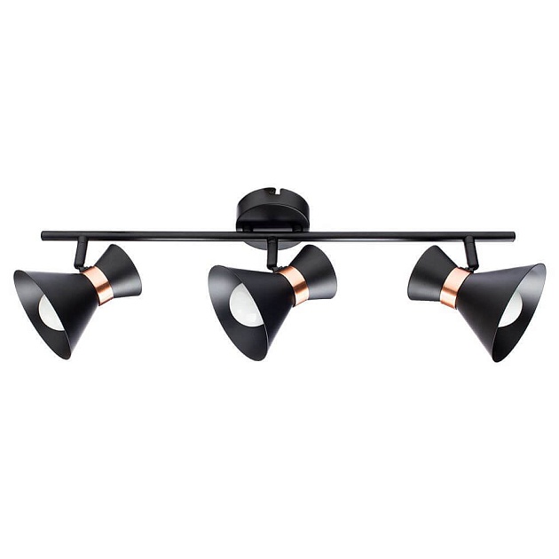 Спот Arte Lamp Baltimore A1406PL-3BK изображение Спот Arte Lamp Baltimore A1406PL-3BK Фото №