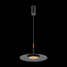 Подвесной светодиодный светильник Maytoni El MOD041PL-L15B3K1 4