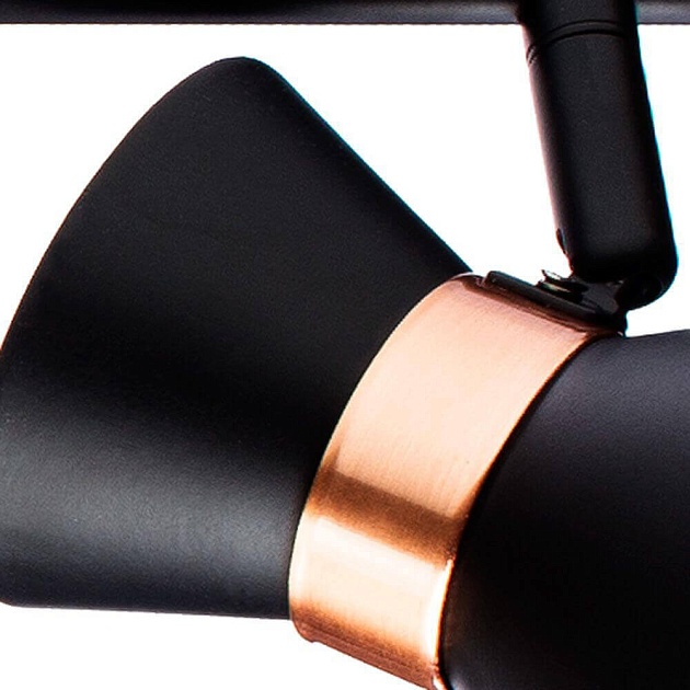 Спот Arte Lamp Baltimore A1406PL-3BK изображение 2 Спот Arte Lamp Baltimore A1406PL-3BK Фото № 2