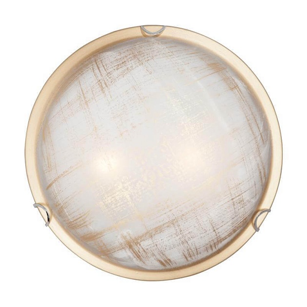 Настенно-потолочный светильник Vitaluce V6396/2A Фото № 