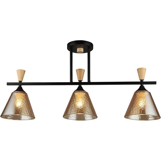 Спот Reluce 04864-0.3-03 BK+WOOD Фото № 