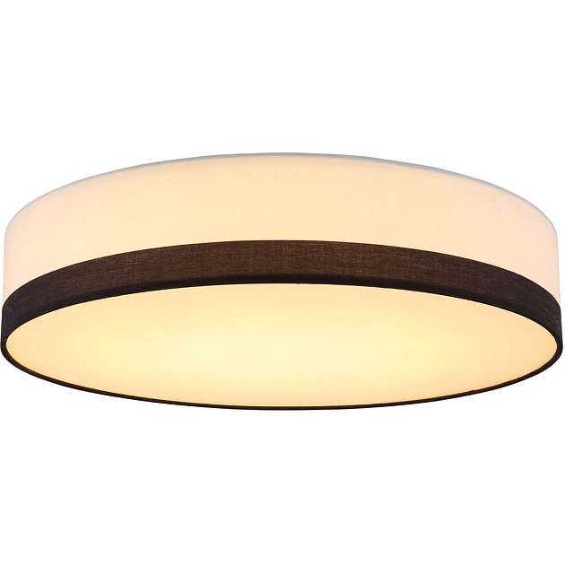 Потолочный светодиодный светильник Globo Maggy 15385D2 Фото № 