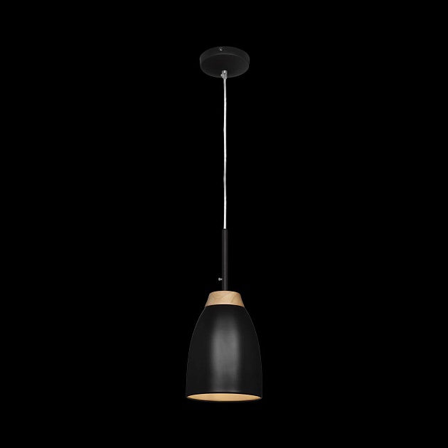 Подвесной светильник Loft IT Watchman Loft4402A-Bl Фото № 2