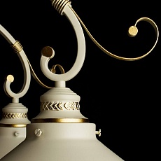 Потолочная люстра Arte Lamp 7 A4577PL-8WG 1