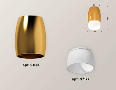 Комплект потолочного светильника Ambrella light Techno Spot XC (C1125, N7177) XS1125023 1