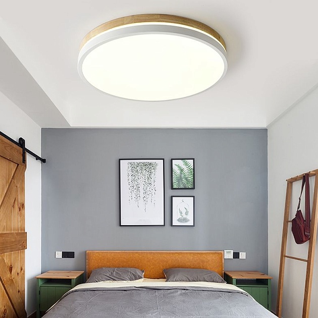 Потолочный светодиодный светильник Imperium Loft Disc 189897-26 изображение 5 Потолочный светодиодный светильник Imperium Loft Disc 189897-26 Фото № 5