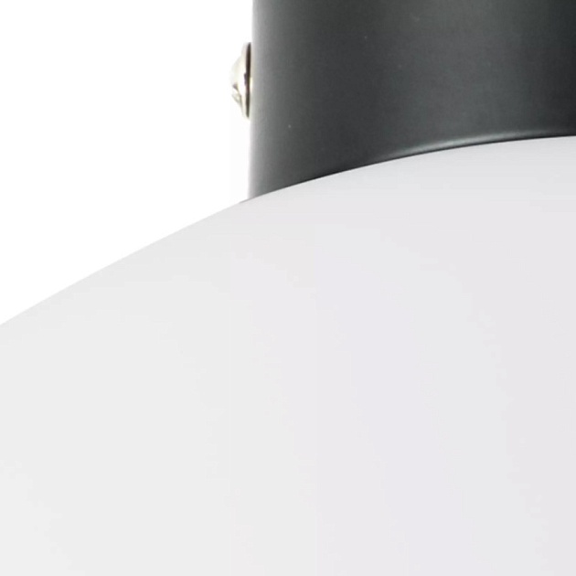 Настенно-потолочный светильник Lightstar Globo 812037 изображение 3 Настенно-потолочный светильник Lightstar Globo 812037 Фото № 3