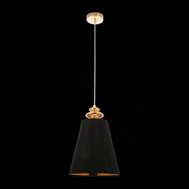 Подвесной светильник Evoluce Rionfo SSL1137.203.01 Фото № 4